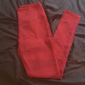 Brand new buff bunny mesh leggings